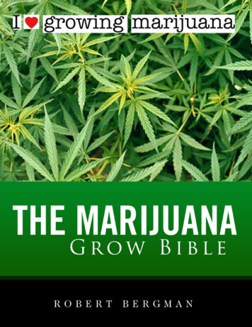 Marijuana Grow Guide For Beginners