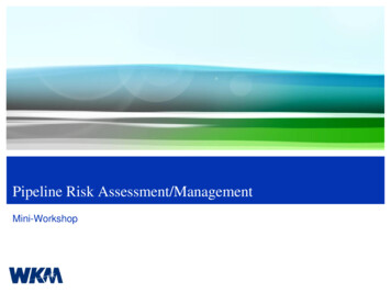 Pipeline Risk Assessment/Management