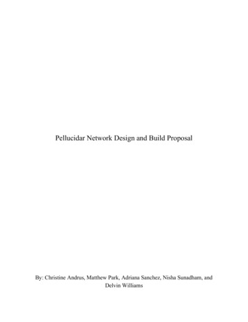 Pellucidar Network Design And Build Proposal