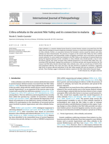 International Journal Of Paleopathology