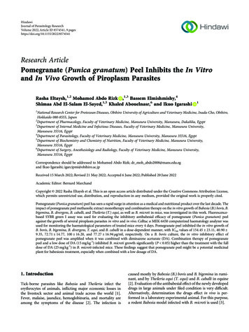Pomegranate (Punica Granatum) Peel Inhibits The In Vitro And In Vivo .