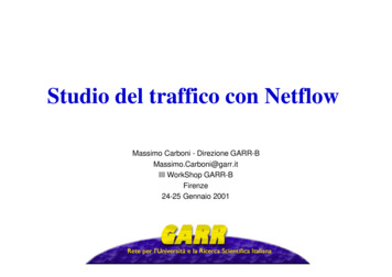 Studio Del Traffico Con Netflow - GARR