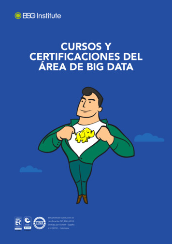 Cursos Y Certificaciones Del Área De Big Data