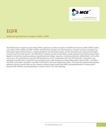 EGFR - File.medchemexpress 