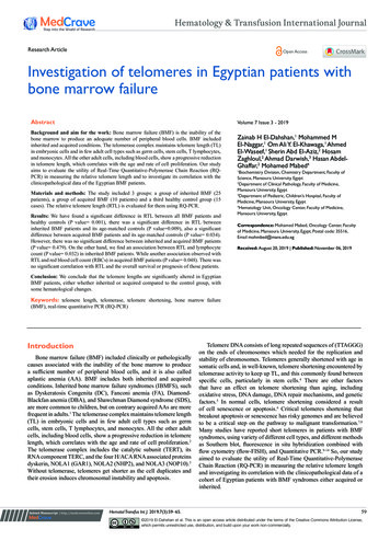 Investigation Of Telomeres In Egyptian Patients With Bone Marrow Failure;
