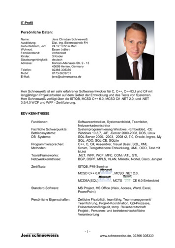 IT-Profil Jens Schneeweiss 2020