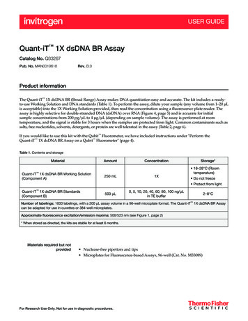 Quant-iT 1X DsDNA BR Assay - Fisher Sci