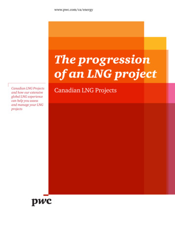 The Progression Of An LNG Project - PwC