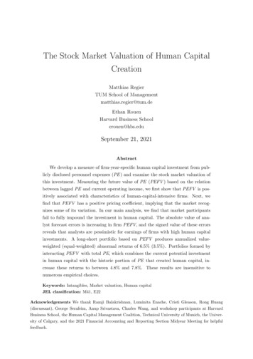 The Stock Market Valuation Of Human Capital Creation
