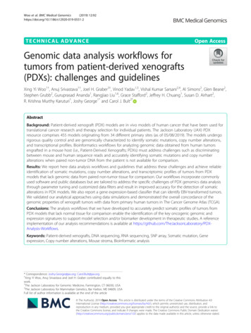 Genomic Data Analysis Workflows For Tumors From Patient-derived .
