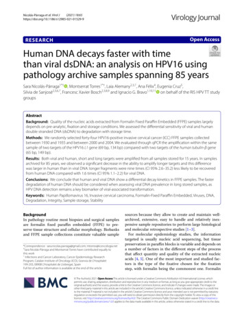 Human DNA Decays Faster With Time Than Viral DsDNA: An Analysis On .