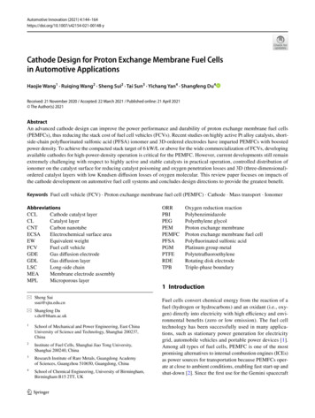 Cathode Design For Proton Exchange Membrane Fuel Cells In . - Springer