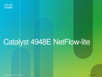 Catalyst 4948E NetFlow-lite - Newegg 