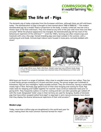 The Life Of - Pigs - Compassion In World Farming