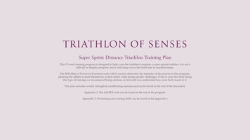 Triathlon Of Senses