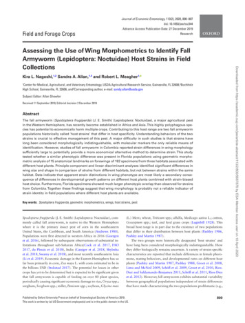Assessing The Use Of Wing Morphometrics To Identify Fall Armyworm .