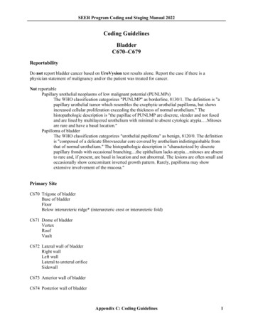 Coding Guidelines Bladder C670-C679 - Surveillance, Epidemiology, And .