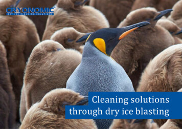 Cleaning Solutions Through Dry Ice Blasting - CRYONOMIC