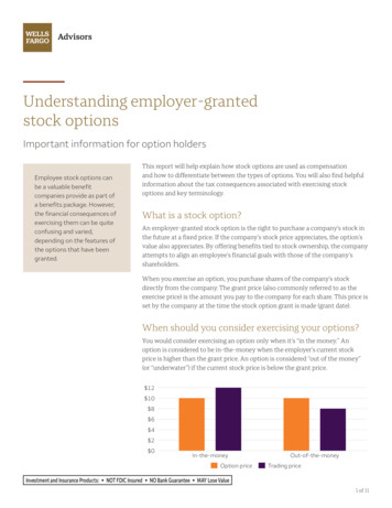 Understanding Employer-granted Stock Options