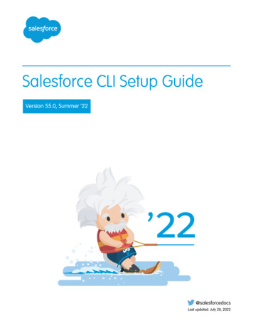 Salesforce CLI Setup Guide