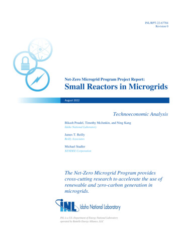 Net-Zero Microgrid Program Project Report: Small Reactors In Microgrids