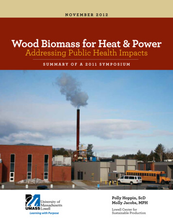 Wood Biomass For Heat & Power