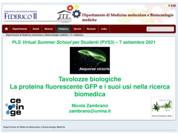 Tavolozze Biologiche La Proteina Fluorescente GFP E I Suoi Usi Nella .