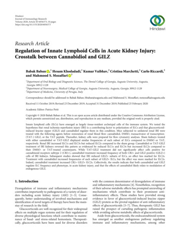 Regulation Of Innate Lymphoid Cells In Acute Kidney Injury . - Hindawi