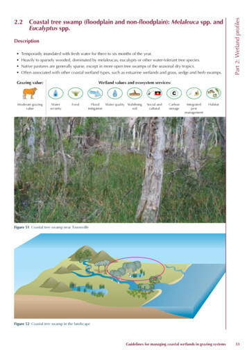 2.2 Coastal Tree Swamp (floodplain And Non-floodplain): Melaleuca Spp .