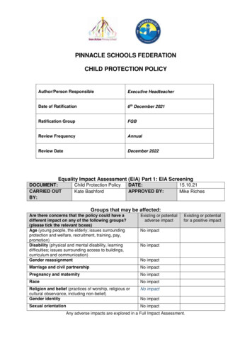Pinnacle Schools Federation Child Protection Policy