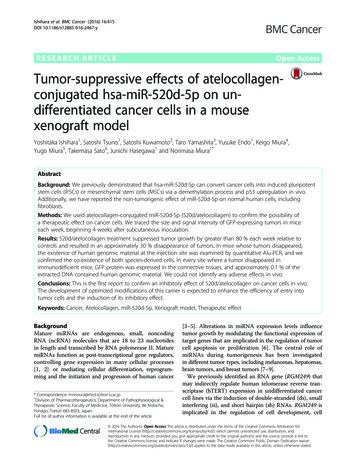 Tumor-suppressive Effects Of Atelocollagen-conjugated Hsa-miR-520d-5p .