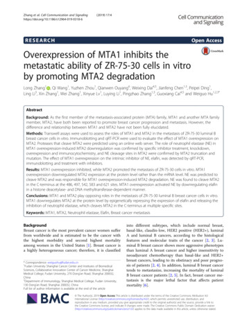 Overexpression Of MTA1 Inhibits The Metastatic Ability Of ZR-75-30 .