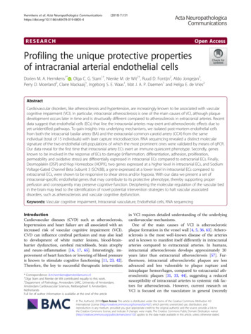 Profiling The Unique Protective Properties Of Intracranial Arterial .