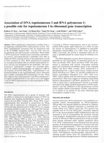 Association Of DNA Topoisomerase I And RNA Polymerase I: A Possible .
