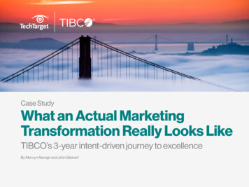 Case Study What An Actual Marketing Transformation Really . - TechTarget
