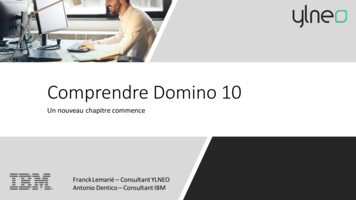 Comprendre Domino 10 - YLNEO