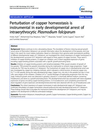 RESEARCH ARTICLE Open Access Perturbation Of Copper Homeostasis Is .