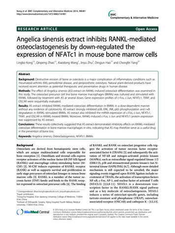 RESEARCH ARTICLE Open Access Angelica Sinensis Extract Inhibits RANKL .