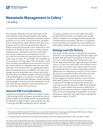 Nematode Management In Celery 1 - Growables