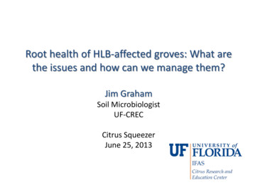 Root Health Of HLB-affected Groves: What Are The Issues And How Can We .