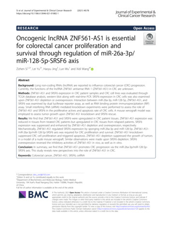 Oncogenic LncRNA ZNF561-AS1 Is Essential For Colorectal Cancer .