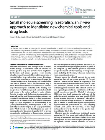 Open Access ReviewSmall Molecule Screening In Zebrafish: An In Vivo .