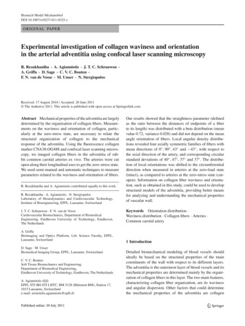 Experimental Investigation Of Collagen Waviness And Orientation . - EPFL