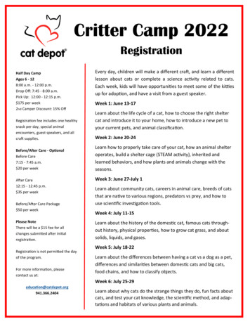 Critter Camp 2022 - Cat Depot