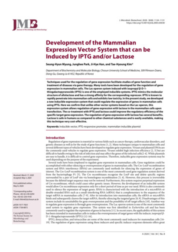 Development Of The Mammalian Expression Vector System That Can Be .