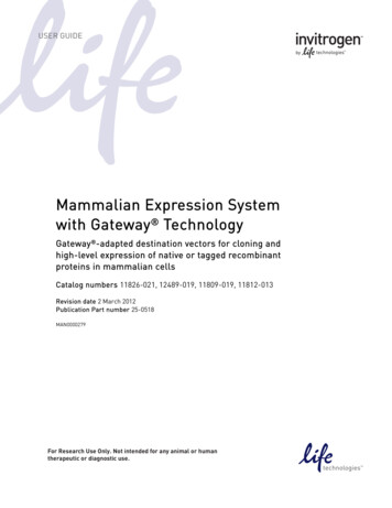 Mammalian Expression System With Gateway Technology