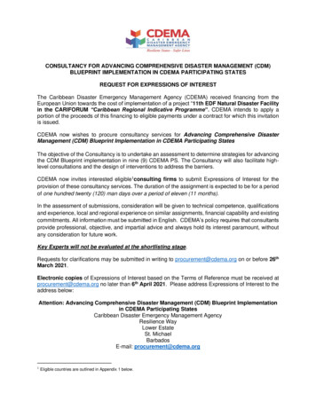 Consultancy For Advancing Comprehensive Disaster Management (Cdm .