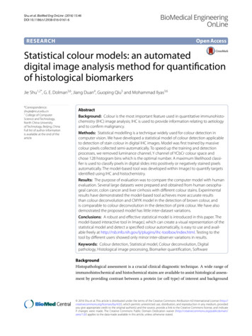 Statistical Colour Models: An Automated Digital Image Analysis Method .