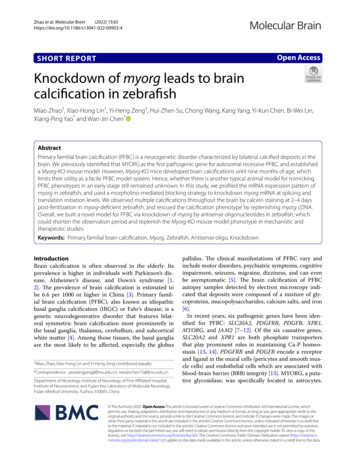 SHORT REPORT Open Access Knockdown Of Myorg Leads To Brain Calcication .