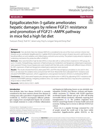 Epigallocatechin-3-gallate Ameliorates Hepatic Damages By Relieve FGF21 .